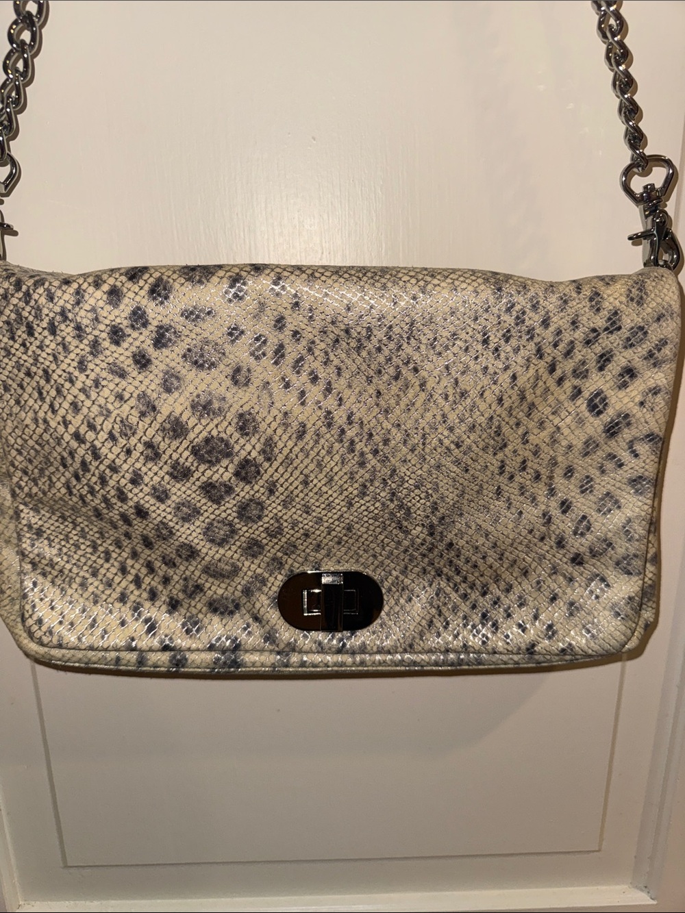 Badgley Mischka Beige & Gray Shimmer Snake Print Chain Shoulder and Clutch Bag